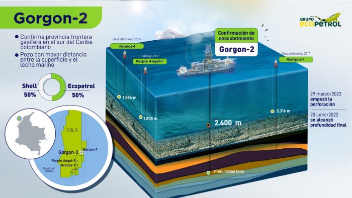infografia-gorgon